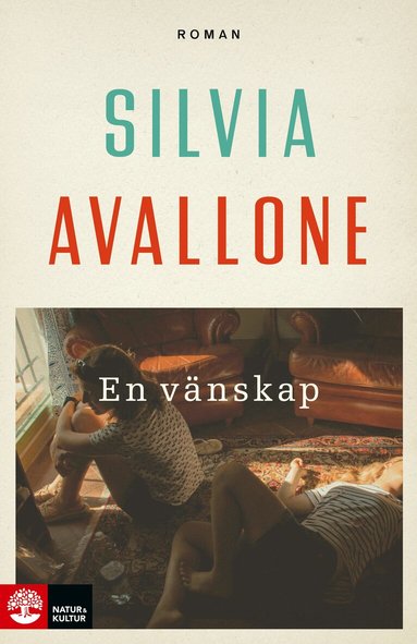 Silvia Avallone - En vänskap, Inbunden