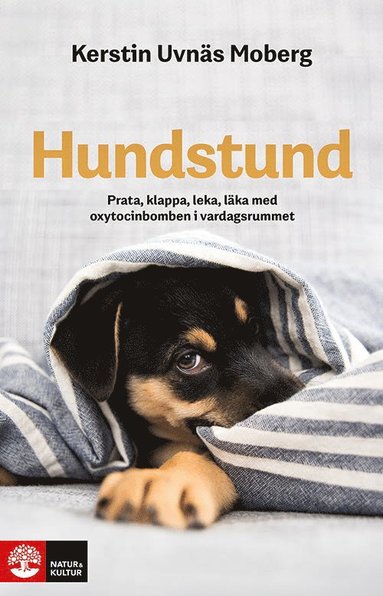 bokomslag Hundstund : prata, klappa, leka, läka med oxytocinbomben i vardagsrummet