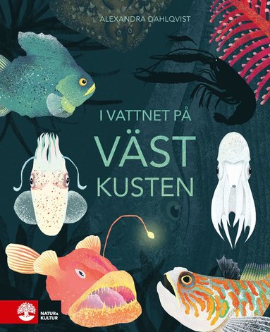 bokomslag I vattnet på västkusten