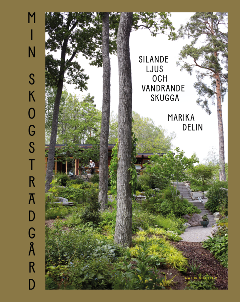 Marika Delin - Min skogsträdgård : silande ljus och vandrande skugga, Inbunden
