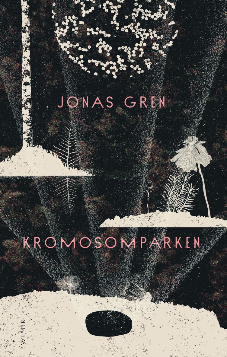 Kromosomparken