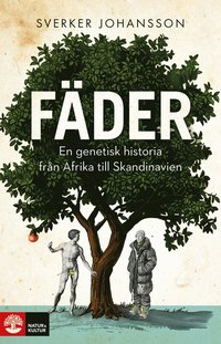 bokomslag Fäder : En genetisk historia från Afrika till Skandinavien