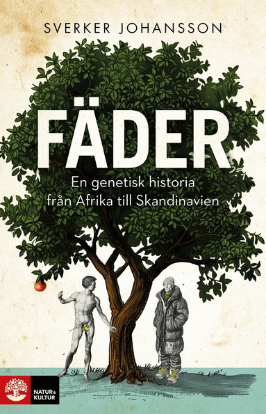 Sverker Johansson - Fäder : en genetisk historia från Afrika till Skandinavien, Inbunden