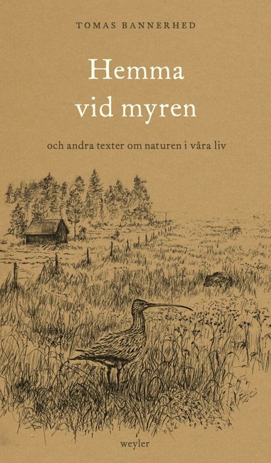 bokomslag Hemma vid myren : och andra texter om naturen i våra liv