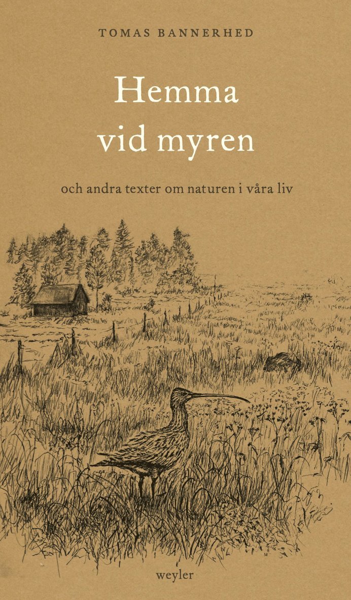 Hemma vid myren : och andra texter om naturen i våra liv