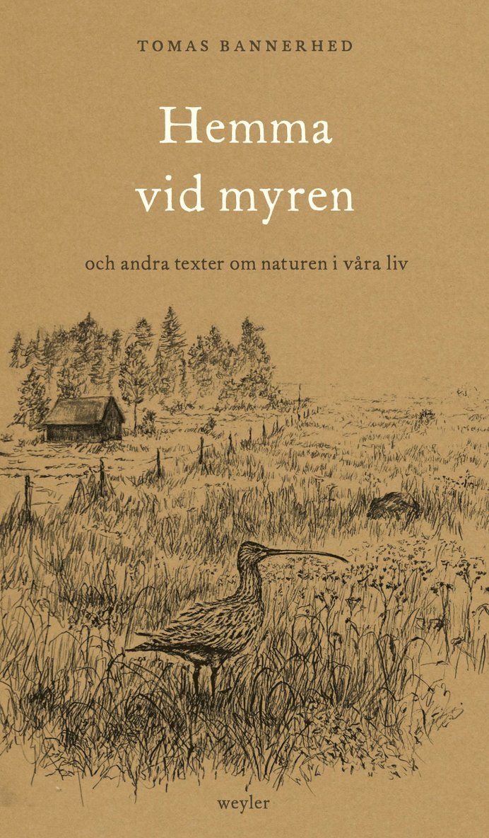 Hemma vid myren : och andra texter om naturen i våra liv 1