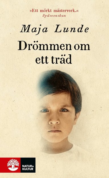 Maja Lunde - Drömmen om ett träd, Pocket