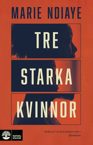 Marie NDiaye - Tre starka kvinnor, Storpocket
