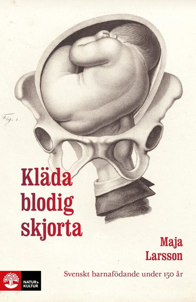 Maja Larsson - Kläda blodig skjorta : svenskt barnafödande under 150 år, Häftad