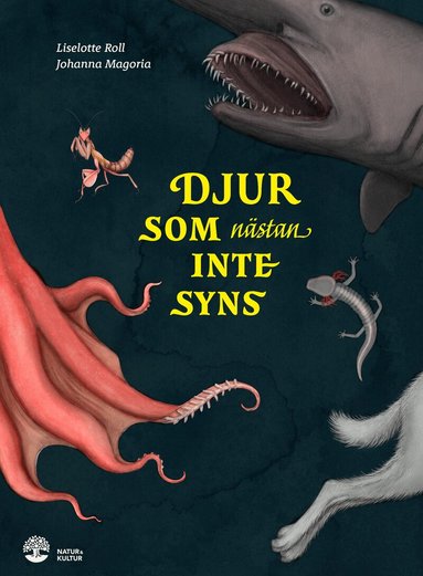 Liselotte Roll - Djur som nästan inte syns, Inbunden