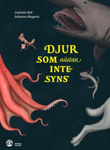 bokomslag Djur som nästan inte syns