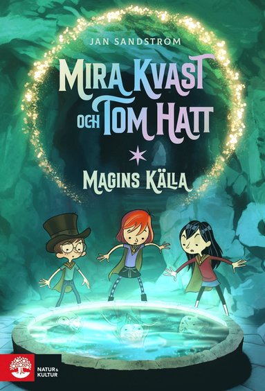 bokomslag Magins källa