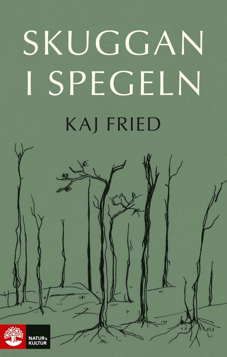 Kaj Fried - Skuggan i spegeln, Inbunden