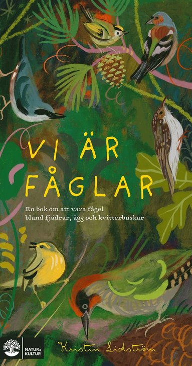 bokomslag Vi är fåglar : En bok om att vara fågel bland fjädrar, ägg och kvitterbuskar