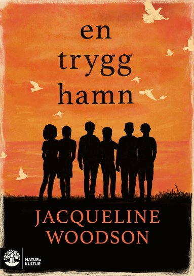 Jacqueline Woodson - En trygg hamn, Inbunden