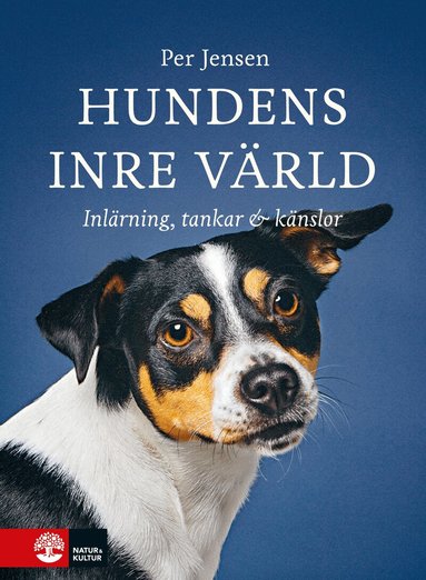 Per Jensen - Hundens inre värld : Inlärning, tankar & känslor, Inbunden