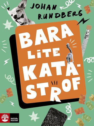 Johan Rundberg - Bara lite katastrof, Inbunden