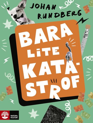 bokomslag Bara lite katastrof