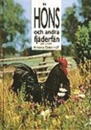 Höns och andra fjäderfän