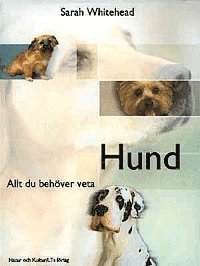 Hund : allt du behöver veta