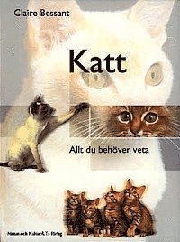 Katt : allt du behöver veta
