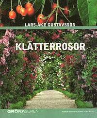 Klätterrosor