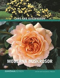 Moderna buskrosor