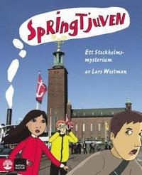 bokomslag Springtjuven - ett Stockholmsmysterium