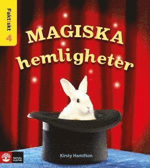Kirsty Hamilton - Faktiskt Magiska hemligheter, Häftad