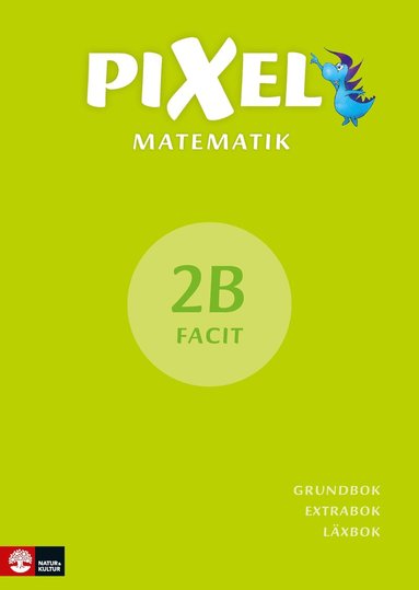 bokomslag Pixel 2B Facit, andra upplagan