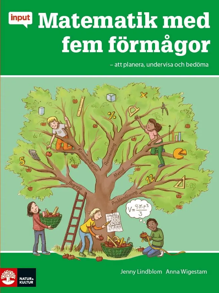 Input Matematik med fem förmågor