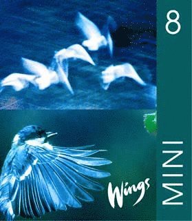 Anna-Lena Andersson, Ylva Winther, Mary Glover, Richard Glover, Bo Hedberg, Per Malmberg - Wings Mini. 8, Elevbok, Häftad