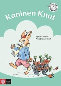 bokomslag Kaninen Knut : övningar i läsförståelse