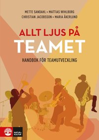 bokomslag Allt ljus på teamet : en handbok för teamutveckling