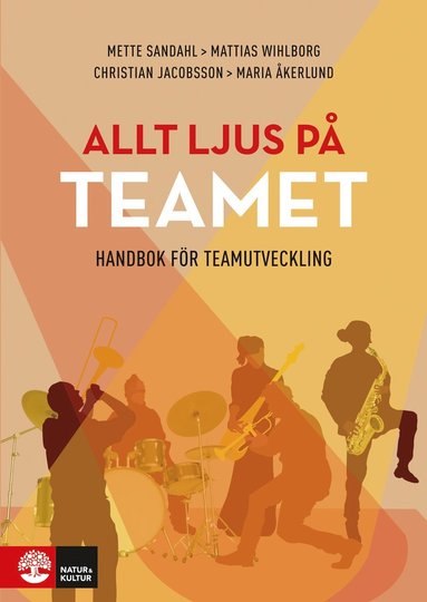 bokomslag Allt ljus på teamet : en handbok för teamutveckling
