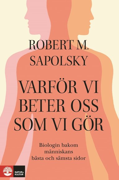 Robert M Sapolsky - Varför vi beter oss som vi gör : Biologin bakom människans bästa och sämsta, Inbunden