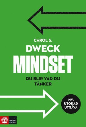 bokomslag Mindset : du blir vad du tänker