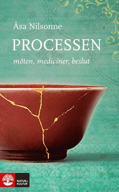 bokomslag Processen : möten, mediciner, beslut