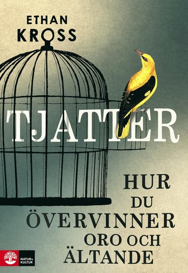 bokomslag Tjatter : hur du övervinner oro och ältande