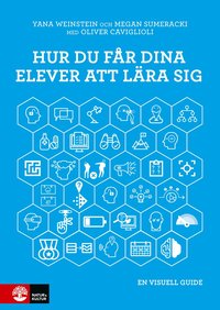 bokomslag Hur du får dina elever att lära sig : en visuell guide