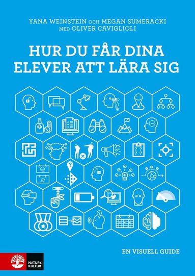 bokomslag Hur du får dina elever att lära sig : en visuell guide