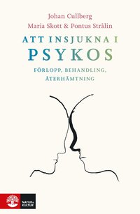 bokomslag Att insjukna i psykos : förlopp, behandling, återhämtning