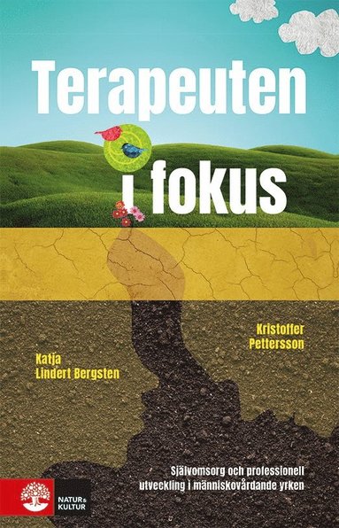 bokomslag Terapeuten i fokus : professionell utveckling och självomsorg i människovårdande yrken