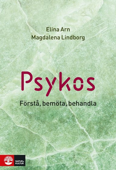 bokomslag Psykos : förstå, bemöta, behandla