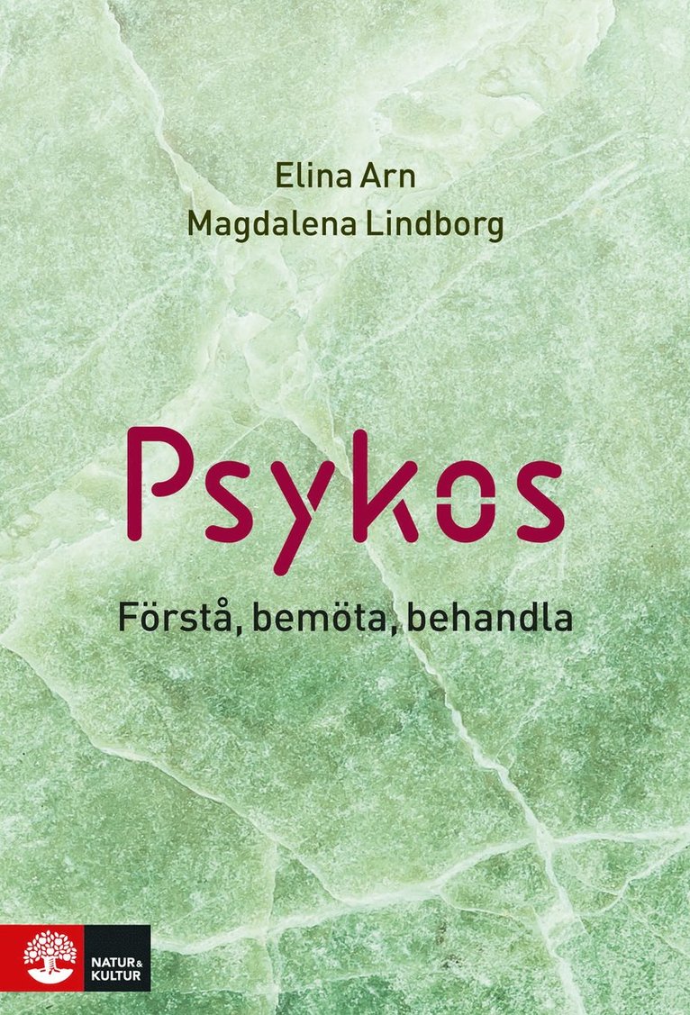 Elina Arn, Magdalena Lindborg - Psykos : förstå, bemöta, behandla, Inbunden