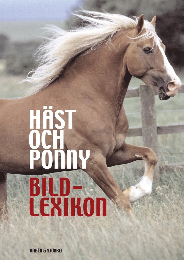 Struan Reid - Häst och ponny : bildlexikon, Kartonnage