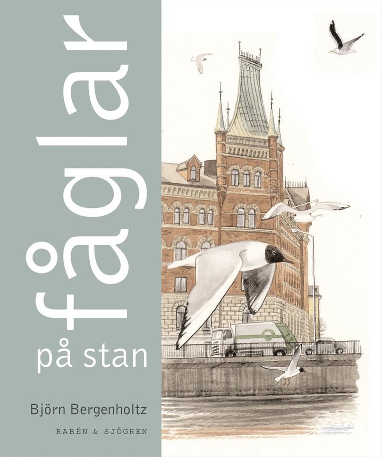 Björn Bergenholtz - Fåglar på stan, Kartonnage