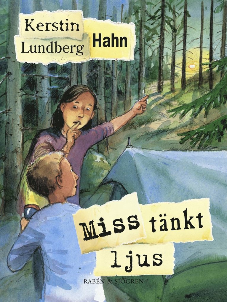 Kerstin Lundberg Hahn - Misstänkt ljus, Kartonnage