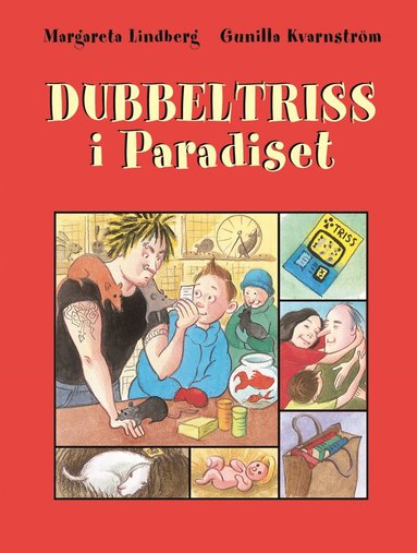 bokomslag Dubbeltriss i Paradiset