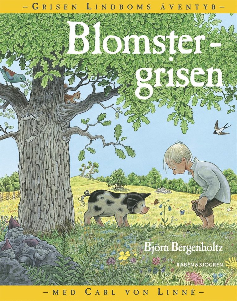 Blomstergrisen : grisen Lindboms äventyr med Carl von Linné